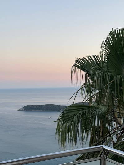 An elevated, vertical, medium shot captures a tranquil seascape at dusk in Seoce, Montenegro, dominated by the presence of a large palm tree in the foreground. The palm, with its fronds spread wide, occupies the right side of the frame, its dark green leaves creating a stark contrast against the soft hues of the sky and sea. A sleek, silver metal railing runs along the bottom of the image, suggesting a balcony or terrace, and further framing the view.
In the middle ground, a distant, verdant island rises from the calm, deep blue water. A small, white boat is visible to the right of the island, adding a subtle element of human presence to the serene landscape. The sea itself appears vast and still, reflecting the muted colors of the sky.
The sky transitions from a pale, almost white hue at the top to a delicate gradient of soft pink and peach near the horizon, characteristic of a sunset or sunrise. The overall atmosphere is one of peace and natural beauty, with the man-made elements of the railing and boat seamlessly integrated into the stunning vista. There are no people visible in the image.