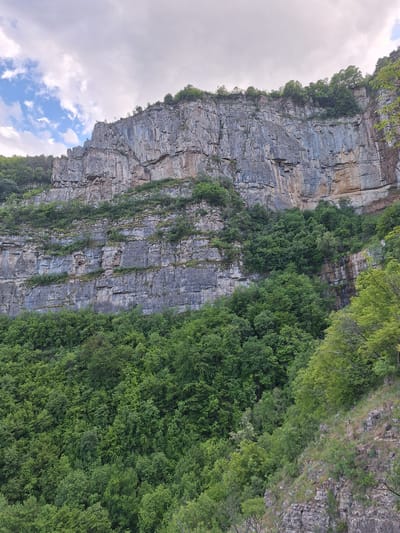 The image depicts a steep, vertical rock face covered with patches of greenery. The rock face is layered with horizontal strata, showing a grey-brown coloration. The vegetation consists primarily of green trees and some climbing plants. The sky is visible in the upper left corner, showing white clouds and blue sky. The location is Zasele, Bulgaria.