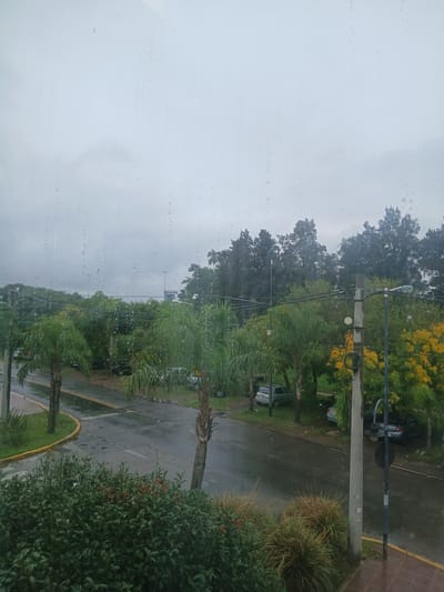 This media file presents a view from a window overlooking an outdoor scene in San Fernando, Argentina, on an overcast and rainy day. Raindrops are clearly visible on the windowpane, indicating ongoing or recent precipitation.

The scene features a street or paved area, bordered by an assortment of lush greenery. Dominating the landscape are tall dark green trees, some displaying vibrant yellow foliage, alongside several palm trees and dense green bushes. The ground is visibly wet, reflecting the grey sky. A prominent concrete utility pole, equipped with a street light and multiple electrical wires, stands in the middle ground. Several vehicles, including a silver hatchback and other dark-colored cars, are parked along the side of the wet pavement, which is marked with yellow and white lines.

The time of day appears to be daytime, but the heavy cloud cover results in subdued, diffuse lighting. No people are visible in the image, and no specific activity is taking place other than the static presence of parked cars amidst the rainy weather. There is no visible text. The overall atmosphere conveyed is calm and damp, typical of a rainy day.