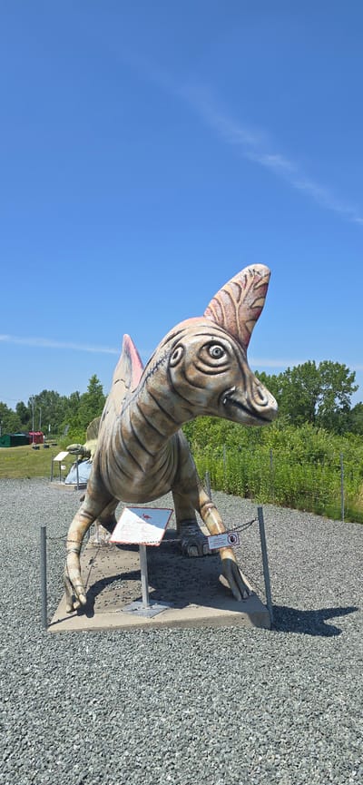 The image depicts a large, colorful statue of a dinosaur in an outdoor setting. The dinosaur statue is the primary subject, rendered in a weathered, somewhat cartoonish style with visible paint strokes and a textured surface. It is positioned centrally in the frame, with its front legs planted on a concrete base covered in gravel. The dinosaur has a distinctive head crest and large, bulbous eyes. Signs are placed near the dinosaur, one with an illustration of a dinosaur and text, and another smaller sign attached to a metal fence post with a prohibition symbol.
The environment surrounding the dinosaur statue consists of a gravel-covered ground and a chain-link fence. In the background, there is dense green foliage and trees, indicating a natural or park-like setting. Several small structures, possibly sheds or booths, are visible in the distance on the left side of the image. The sky is a clear, bright blue with a few wispy clouds.
The image is taken from a low angle, emphasizing the size of the dinosaur statue. The lighting suggests a sunny day. No people are visible in the image. The overall impression is of a display, likely part of a themed attraction, possibly a dinosaur park or museum exhibit. Based on available information, this scene is located in Saint-Léonard-d'Aston, Canada.