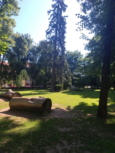 This is an outdoor, eye-level, horizontal, full shot of a park scene in Písek, Czechia. The photo is dominated by lush green trees and a bright sky. In the foreground, a large, rough-hewn wooden log serves as a bench, casting a long shadow on the grass. The grass itself is well-maintained and catches the sunlight in patches.

Behind the log, the park unfolds with more trees, some of which are tall and slender, while others are broad and leafy. In the middle ground, a statue of a person is visible on a pedestal. Further in the distance, a building with a yellow facade and red roof peeks through the trees, hinting at a residential area or a park facility. Red cars are parked near the building.

The lighting suggests it's a sunny day, likely midday or early afternoon, as evidenced by the sharp shadows. The overall mood is serene and peaceful, typical of a public park on a pleasant day. The vibrant greens and the clear sky contribute to a feeling of natural beauty and tranquility. No text is visible in the image.