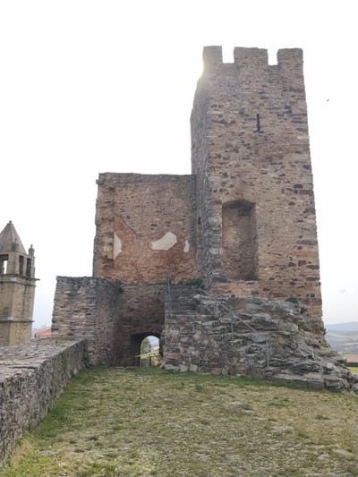 The image presents a low-angle view of the medieval castle in Mogadouro, Portugal. The castle is constructed of weathered stone and features a tall, rectangular tower with battlements at its top, with a narrow slit window visible. An adjacent section of the castle wall shows areas where the outer layer has eroded, revealing a reddish-brown inner material. A stone archway provides an entrance into the castle structure. Vegetation is present around the base of the castle, including grass and small plants. In the distance, the landscape extends toward low hills on the horizon. The sky is overcast, providing soft lighting. A section of a tower is seen to the left behind the castle walls. A bird is flying high in the sky on the right.