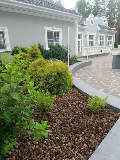 The image shows a well-maintained outdoor area adjacent to a light gray building with ornate white trim and decorative gables. The building has multiple windows with white frames and a white railing along a covered porch area. In the foreground, there is a garden bed covered with a thick layer of pine cones. Several green shrubs and a larger, yellow-green conifer are planted within the pine cone mulch. A curved, low concrete planter borders the garden bed and a paved area. The paved area is constructed of interlocking gray pavers and extends towards the building. In the background, tall evergreen trees are visible. The scene appears to be a commercial or residential property, likely a cafe, restaurant, or a well-kept private residence, located in a wooded or semi-wooded area. The specific location is the Старобінскі сельскі Савет in Belarus. There are no people visible in the image.