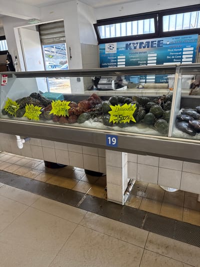 This image depicts the interior of a fish market stall in Noumea, France. The central subject is a refrigerated display case, identified by a blue sign with "19" on its front, filled with various fresh seafood on a bed of ice.
On the left side of the display case, a pile of dark green, segmented crustaceans, likely a type of slipper lobster or rock lobster (Langouste), are priced at "2500f/kg" (Langouste Gibee) and "3500f/kg". Adjacent to these are brownish-red crustaceans, including "Cigale" (slipper lobster) priced at "700f/kg", and a mix labeled "Potinee + Cigale" at "2700f/kg". The far right section of the display case contains a collection of dark-skinned fish.
Above the display case, a blue banner features the business name "SARL KYMEE" and lists various "POISSON ENTIER" (whole fish) and their tariffs, including "Perroquet", "Dawa", "Loche Saumonee", "Pirot", "Popinee", "Cigale", "Bec de Cane", and "Bossus". A N° RIDET: 143944-001 is also displayed. Behind the counter, a digital weighing scale is visible on a white tiled surface.
The floor in the foreground is tiled and features a perforated metal drain channel running horizontally. Portions of the floor appear wet. A white PVC pipe system is visible beneath the left side of the display case. In the background, an open doorway reveals an outdoor area with a partially raised metal roll-down security door, showing natural light, a green overhead structure, and a light-colored vehicle. A window with vertical bars is visible in the upper right background. No individuals are present in the immediate foreground or midground.