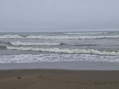 The image captures a serene, overcast view of the sea and a sandy beach, likely in Uglegorsk, Russia. The ocean is calm with gentle waves rolling towards the shore, their white foam creating a stark contrast against the muted tones of the water. The sky is a uniform gray, suggesting a cloudy or foggy day. The beach in the foreground is sparsely populated with a few scattered pieces of driftwood and what appears to be a small rock. There are no people visible in the frame, emphasizing the tranquility of the scene. The overall impression is one of peaceful solitude, characteristic of a quiet day by the sea.