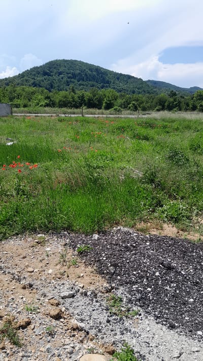 In Leshnitsa, Bulgaria, a scenic view unfolds with a verdant hill covered in dense forest as the backdrop. In the foreground, a field of lush green grass is dotted with vibrant red poppies, suggesting a natural, untamed landscape. A rough, unpaved area in the immediate foreground, composed of gravel and dirt, hints at an unfinished construction site or a rural access road. The sky above is a dynamic mix of blue and white clouds, with a few birds gracefully soaring through the air. The overall impression is one of a tranquil, rural setting, possibly on the outskirts of the village, where nature's beauty intertwines with hints of human activity.