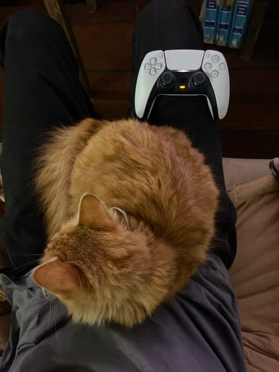 The image captures an indoor scene in San Antonio de Padua, Argentina, from an overhead perspective. A person is seated, with an orange domestic short-haired cat curled and resting on their left lap/thigh. The cat's head is visible, facing left, with a thin, light-colored collar around its neck. A white PlayStation 5 DualSense controller, displaying an illuminated orange central light bar, rests on the person's right thigh. The person is wearing dark pants on the left leg and lighter grey pants on the right. In the upper right background, several books with light blue spines are partially visible, alongside a brown upholstered surface, likely a sofa or bed.