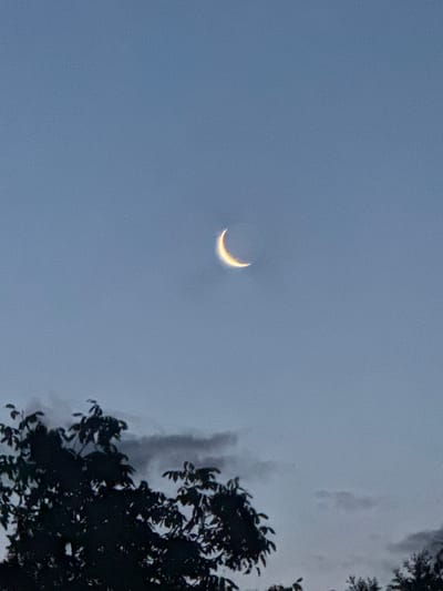 The image shows a crescent moon in a pale blue sky above silhouetted trees. The moon is bright and illuminated, with a golden-yellow hue. Dark clouds are present in the background, obscuring parts of the sky. The trees in the foreground are dense and dark, with visible leaves and branches. The overall scene appears to be taken at dusk or dawn. The location is Miszewo, Poland.
