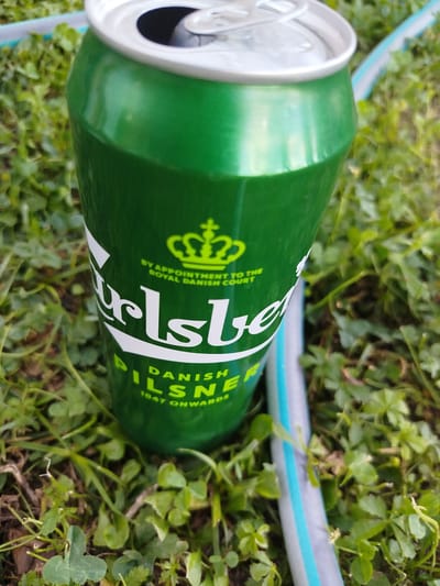 A close-up, slightly angled shot shows a green Carlsberg Pilsner can resting on grass. The can's label is visible, featuring the brand name "Carlsberg" in white, a crown logo, and text reading "DANISH PILSNER" and "1847 ONWARDS". The can appears to be full and unopened. In the background, out of focus, is a blue and white striped hose and more lush green grass with some clover. The scene is set outdoors, likely in a garden or park. The location is MZ Petrov Gaj, Bosnia and Herzegovina.