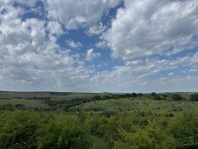 The image shows a daytime rural landscape under a sky filled with cumulus clouds and patches of blue. The foreground is dominated by green shrubs and trees. Behind them, there is a rolling green hill or meadow dotted with sporadic trees and shrubs. In the mid-ground, a valley with a small cluster of buildings, possibly a village or hamlet, can be seen nestled amongst the trees. Further back, open agricultural fields can be observed. The horizon is flat and somewhat indistinct due to atmospheric haze. The scene appears to be a natural or semi-natural environment, suggesting a location outside of a densely populated urban area. It does not contain any visible people. There are no visible indications of this being in Topchii, Bulgaria.