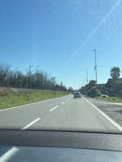 The image presents a forward-facing view from inside a vehicle on a multi-lane asphalt road in Bistrice, Montenegro, under a clear, bright blue sky. Two light-colored vehicles are visible ahead, traveling in the same direction, with a silver station wagon or SUV leading. The road features solid white lines on the outer edges and dashed white lines separating the travel lanes.
To the left of the road, a green grass verge slopes upwards, punctuated by several small orange and white delineator posts. Beyond the verge, a dense line of bare deciduous trees forms a visual barrier, above which utility poles with overhead lines, consistent with a railway catenary system, are visible.
To the right of the road, a paved shoulder or sidewalk runs parallel, giving way to an unkempt area with some debris and scrub vegetation. A series of tall, dark grey streetlights with rectangular luminaires extends along this side. Behind the streetlights, partially obscured structures, appearing as old walls or rudimentary buildings, are present, alongside a prominent palm tree. The sky is uniformly clear, with a faint diagonal streak in the upper right quadrant, consistent with a distant aircraft contrail or lens flare. No individuals are visible.