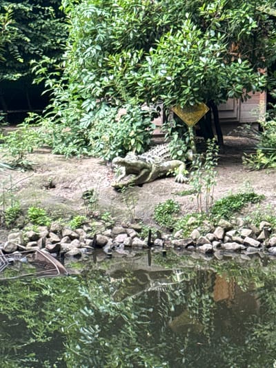 The image shows a statue of a crocodile with its mouth open, lying on a rocky bank next to a body of water. Lush green foliage surrounds the statue. The statue is positioned to the right of the frame, while the water occupies the lower portion of the image. The environment appears to be an outdoor setting, possibly a park or zoo exhibit. There are no people visible in the image. The location in the city of Bassum, Germany, is not discernible from the provided image alone.