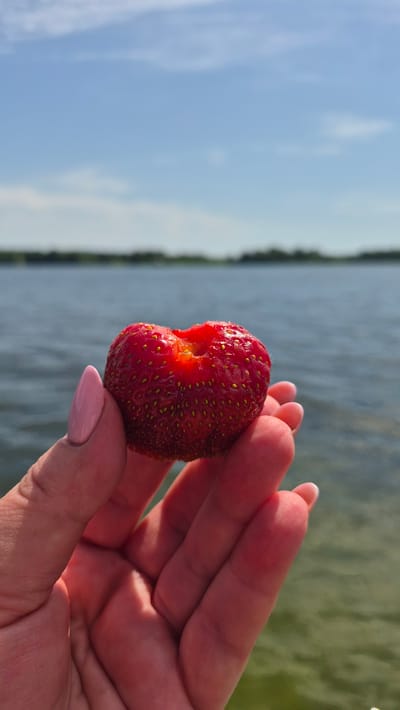 In the foreground, a person's hand, with a light pink-painted fingernail on the index finger, holds a single, ripe strawberry. The strawberry is heart-shaped with a slight indentation at the top and is a vibrant red color with visible seeds. The background is out of focus, showing a body of water, likely a lake or river, with a line of trees on the distant shore. The sky above is a clear blue with a few wispy clouds. The overall impression is a close-up shot of a hand holding a strawberry with a natural, outdoor setting. The location is specified as Rimšas, Latvia.