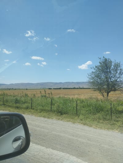 A dirt road curves to the right in the foreground of the image. A car's side mirror is visible on the left. Beyond the road, a fenced field of tall green grass meets a golden, harvested field. In the distance, a line of trees runs parallel to a range of low, brown mountains under a clear blue sky with scattered white clouds. A lone tree stands in the middle ground of the image.