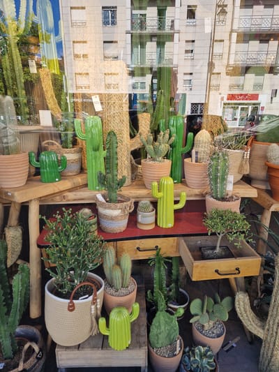 The image displays a storefront window filled with a variety of potted cacti and succulent plants, along with decorative cactus-shaped items. The display features several tall, green ceramic cactus figures, as well as live plants in terracotta and woven baskets. Some of the plants are quite large, while others are smaller and more delicate. The background shows a reflection of a multi-story building with balconies and windows. The sign visible in the reflection reads "TONIO", suggesting this is a commercial establishment. The scene is well-lit, likely due to natural daylight. The overall impression is one of a plant nursery or home decor shop specializing in desert plants. Based on the context provided, this storefront is located in Antony, France.
