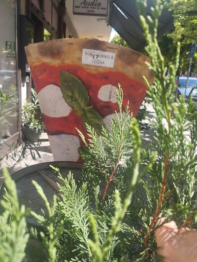 A vibrant outdoor scene captures a large, two-dimensional advertisement shaped like a slice of Margherita pizza, featuring bright red tomato sauce, white mozzarella spots, and a fresh green basil leaf. This eye-catching display stands prominently in the midground.
In the immediate foreground, several lush, green coniferous plants, possibly juniper or cypress, are densely arranged, some branches slightly out of focus, adding depth to the image. A hand is partially visible on the right, gently touching one of the plants.
Behind the pizza sign, a building facade, likely a restaurant or pizzeria, is visible. A dark awning extends over a section of the building. Above, a sign with the name "Audia" is discernible, alongside text indicating "RISTORANTE PIZZA" and featuring the colors of the Italian flag. To the left, a glass door reflects the surroundings, and a green exit sign clearly reads "ENTRATA E USCITA DI EMERGENZA" (Emergency Entrance and Exit). Potted plants line the building's base. The pizza sign itself rests on what appears to be a wooden base, possibly a barrel or outdoor table.
On the white label affixed to the pizza slice, the partially visible text includes "PIZZA" and "FORNO A LEGNA" (Wood-fired oven). The scene is brightly lit by the sun, suggesting either mid-morning or afternoon, with shadows cast on the ground and building. In the distant background, blurred shapes of trees and what appear to be parked cars indicate an urban street environment.
The setting is an outdoor commercial area, likely a sidewalk in front of a food establishment, located in Bellinzona, Switzerland.