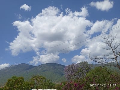 This image depicts a daytime outdoor scene in the city of Namanga, Kenya, captured on November 21, 2025, at 12:57. The upper half of the frame is dominated by a bright blue sky filled with numerous white cumulus clouds of varying sizes. Three black utility lines traverse diagonally across the mid-upper portion of the sky, running from the upper left towards the mid-right.
The midground features a prominent range of green, vegetated mountains extending horizontally across the frame. Rocky outcrops are visible on the slopes. In the foreground, a diverse array of foliage is present. On the left, dense green trees and shrubs form a canopy. Towards the center, a large tree with distinctive purple blossoms is visible, likely a Jacaranda. To its right, a bare, deciduous tree with an intricate network of dark, leafless branches extends into the upper right quadrant. Further down and to the right, shrubs with reddish-purple flowers are visible. No human figures or discernible human activity are present.