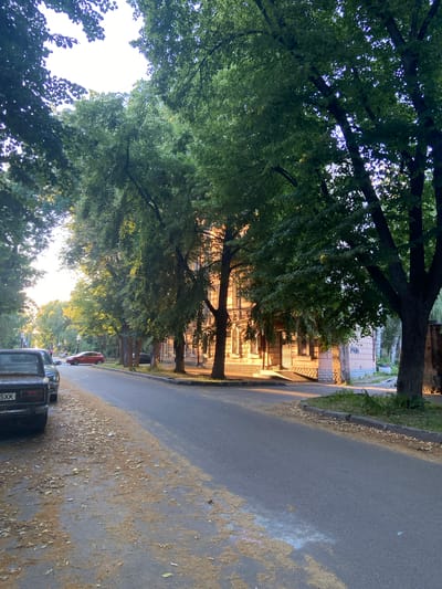 The image depicts a street scene in Nyzhni Mlyny, Ukraine, likely during the late afternoon or early evening, as indicated by the warm, soft lighting and long shadows. The perspective is from ground level, looking upwards and along the street.

The primary subjects are the lush, green trees that line the street, their branches heavy with leaves, creating a canopy that filters the sunlight. Beneath the trees, a paved road runs parallel to a row of buildings. These buildings appear to be residential, with multiple windows and balconies, and some have a light-colored facade. The architecture suggests an older, possibly European style.

On the side of the road, there are a few vehicles visible. A dark-colored utility vehicle or van is parked closest to the viewer, its rear end and a partial license plate clearly visible. The license plate displays the characters "5XK". Further down the street, a red car is parked. Scattered on the road and sidewalk are numerous fallen leaves and debris, suggesting it is either autumn or the trees are shedding their seeds or leaves.

The scene evokes a sense of peacefulness and everyday life. The time of day, with the gentle illumination, contributes to a serene atmosphere. There are no explicit signs of people engaged in specific activities, but the parked cars and the residential buildings imply an occupied neighborhood. The weather appears calm, with no indication of wind or rain. The presence of chalk marks on the road, particularly in the lower right quadrant, suggests recent activity, possibly children playing. The overall setting is a residential street with mature trees, creating a pleasant, shaded environment.