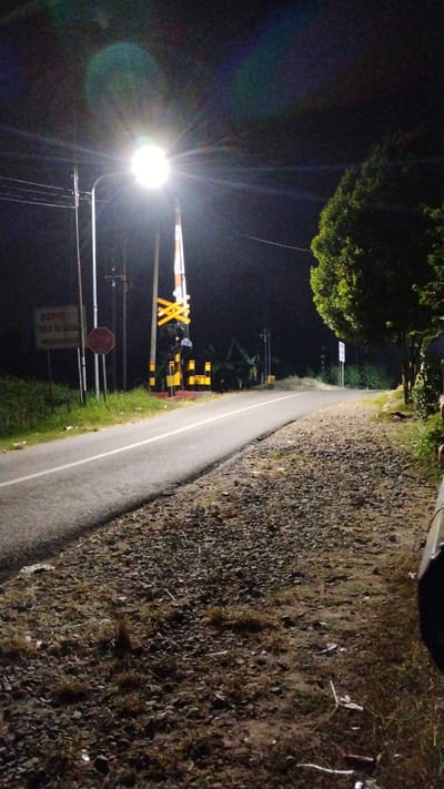The image depicts a dimly lit road at night, with a bright streetlamp illuminating the scene. To the left of the road, there is a railroad crossing signal with flashing lights and a stop sign. Further to the left, a sign with text in Indonesian is visible. A grassy area with some foliage lines the side of the road, and in the background, there are trees and a few distant lights. The road surface is asphalt with a white line marking the lane. The ground beside the road is covered in gravel and dry grass. The overall impression is a rural or semi-rural setting at night, possibly near a railway crossing in Tulungrejo, Indonesia, given the context.