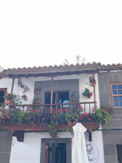 The image shows a building with a balcony in Teror, Spain, located at latitude: 28.06, longitude: -15.547. The balcony is covered in plants and flowers, including red geraniums and green ivy. The building is painted white with a gray stone facade. There are windows on the second story, one with a wooden frame and blue glass and the other with dark wooden frames. An awning, made of white fabric, covers the entrance of a shop below the balcony. There are various potted plants hanging from the balcony and on the wall below. There is a sign on the wall below the balcony for a business. It appears to be a restaurant, although the name is illegible.