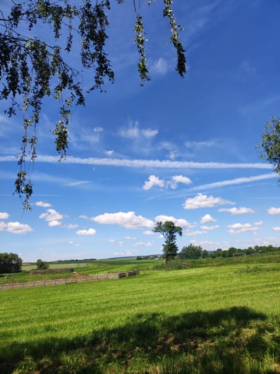 The image depicts a bright, sunny day in a rural landscape, likely in or near Квасоўскі сельскі Савет, Belarus. The foreground is dominated by a lush, green grassy field, with distinct rows suggesting it has been recently mowed. Shadows from unseen objects, possibly trees, are cast across the field. A wooden fence with a simple, spaced-post design runs horizontally across the mid-ground, separating the mowed field from a slightly more distant, less uniform grassy area. Beyond the fence, a solitary, mature tree stands prominently in the field, its branches reaching upwards. In the background, a line of trees forms a distant treeline, with hints of agricultural fields and scattered buildings visible in the far distance. A soccer goal is visible amongst the trees in the right background. The sky is a vibrant blue, dotted with fluffy white cumulus clouds and thin, wispy cirrus clouds. Two distinct, parallel contrails streak across the sky, indicating recent aircraft activity. In the upper left and right corners, tree branches with green leaves hang into the frame, suggesting the photo was taken from beneath or beside trees. The overall impression is one of a peaceful, open countryside.