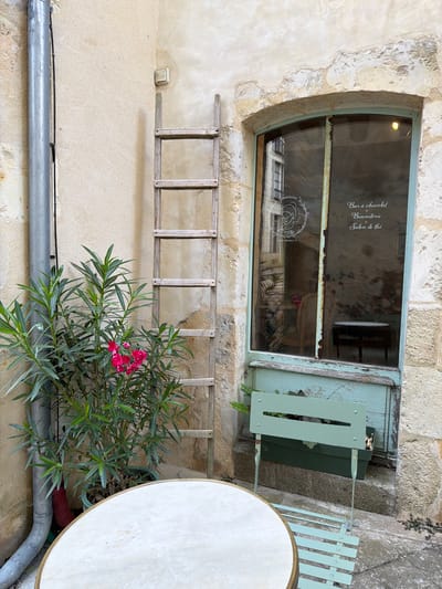 This image depicts a quaint, rustic scene outside a shop in Bellême, France. The shop has a large window with a weathered, pale blue frame, revealing a dark interior and a reflection of a chair. Text on the window reads "Bar à chocolat," "Biscuiterie," and "Salon de thé," indicating it is a chocolate bar, biscuit shop, and tea room. Below the window, a simple wooden ladder leans against the textured, stone and stucco wall.
In the foreground, a vibrant green plant with delicate pink flowers grows in a pot, partially obscuring a grey pipe running along the base of the wall. To the right, a portion of a round, light-colored table with a brass rim is visible, alongside a pale green metal chair. The setting suggests a quiet, perhaps slightly aged, European street or courtyard, likely during daylight hours with fair weather. The overall impression is one of charm and tranquility. There are no people visible in the image.