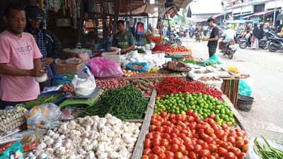In Puloara, Indonesia, a busy outdoor market scene unfolds with vendors and customers engaged in commerce. In the foreground, a stall overflows with fresh produce. Piles of white garlic bulbs are prominently displayed next to a large quantity of bright red tomatoes, with green limes and red chilies also visible. Long green beans are neatly arranged in a basket. Behind the produce, a vendor in a pink t-shirt holds a small white bowl, appearing to be weighing something. Another vendor in a green t-shirt stands behind the produce display, overseeing the stall. In the background, the market bustles with activity. Several people are seen on motorcycles, suggesting transportation and movement within the market. Other individuals are browsing stalls or interacting with vendors. The market environment is characterized by open-air stalls with tarpaulin coverings, suggesting a typical Indonesian marketplace.