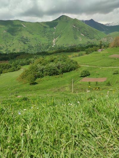 The image shows a pastoral landscape with rolling green hills and mountains in the background, under a cloudy sky. In the foreground, tall grass and small wildflowers are visible. The middle ground features a treed hillside with a small, light-colored building on the right, and several tilled garden plots. A utility pole stands on the left side of the frame. The background is dominated by lush green mountains, with some patches of snow on the higher peaks. The scene is likely located in a rural area of Kumlistsikhe, Georgia, given the mountainous terrain and the presence of cultivated land. No people or animals are depicted in the image.