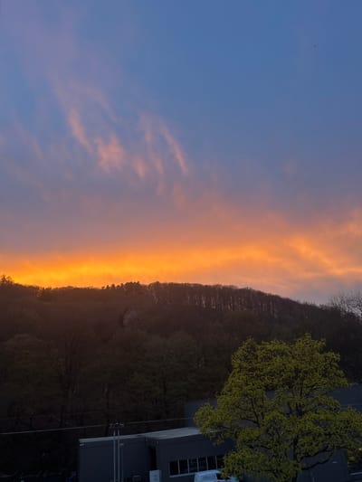 The image displays an outdoor scene in Hagen, Germany, under conditions suggesting either sunrise or sunset. The upper two-thirds of the frame are dominated by a sky that transitions from a deep blue at the zenith to a vibrant orange and yellow band at the horizon. Streaks of elongated, pink-hued clouds are visible across the upper sky. A small, dark object, likely a bird or insect, is perceptible in the upper right quadrant of the blue sky.

The horizon is defined by a dense, dark-silhouetted treeline, indicating a forested hillside or mountain. Some trees on the distant slope exhibit hints of lighter foliage or blossoms. In the lower right foreground, a prominent deciduous tree with bright green, newly unfurled leaves partially obscures a modern, grey building with a flat roof. This structure features several dark, rectangular windows. A light-colored vehicle, possibly a white van, is partially visible parked in front of this building. To the left, another segment of a grey building with a flat roof is present, along with utility poles and horizontal power lines extending across the lower-midground. No people are visible within the frame.