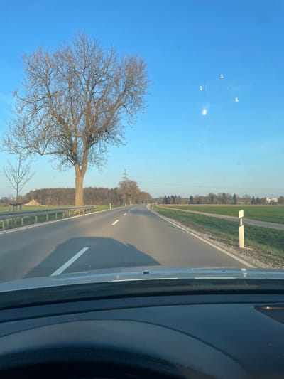 The image depicts a rural road scene, likely a state or district road, in the vicinity of Weißenhorn, Germany. The perspective is from inside a vehicle, looking forward through the windshield, with the dark dashboard visible at the bottom of the frame.
The asphalt road, marked with a solid white line on the right shoulder and broken white lane lines, extends into the distance under a clear, bright blue sky. Several lens flares are apparent on the upper right portion of the sky, indicating direct sunlight.
On the left side of the road, a metal guardrail runs parallel to the pavement. Beyond the guardrail, a wide grassy shoulder precedes a line of bare deciduous trees. A prominent, large, leafless deciduous tree stands close to the road. Further back and to the left, another smaller, bare deciduous tree is visible. Behind these trees, a light-colored, triangular agricultural structure (possibly a covered hay or silage pile) is situated in a field. A dense forest line forms the horizon on the left. A metal lattice power line tower is partially visible in the middle distance, behind the trees on the left.
On the right side of the road, a grassy shoulder is marked by white and black reflector posts (Leitpfosten) placed at intervals. Beyond this, expansive green agricultural fields stretch towards the horizon. In the far distance on the right, indistinct building structures, consistent with a small town or village, are visible under the clear sky.
No individuals or active interactions are visible. The scene suggests a clear, bright day during late autumn, winter, or early spring, given the bare trees.