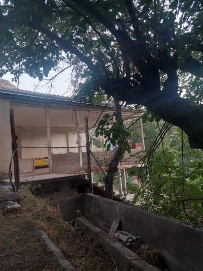 The image shows a rural setting in Areni, Armenia, with an old, weathered house and surrounding vegetation. The house appears to be single-story with a covered porch supported by pillars. A chain-link fence encloses part of the property. In the foreground, there is a concrete trough filled with debris, and overgrown grass and rocks are visible on the ground. Lush green trees and foliage dominate the background, with some branches of a large tree obscuring parts of the house and sky. The overall impression is one of an abandoned or neglected property in a natural, overgrown environment.