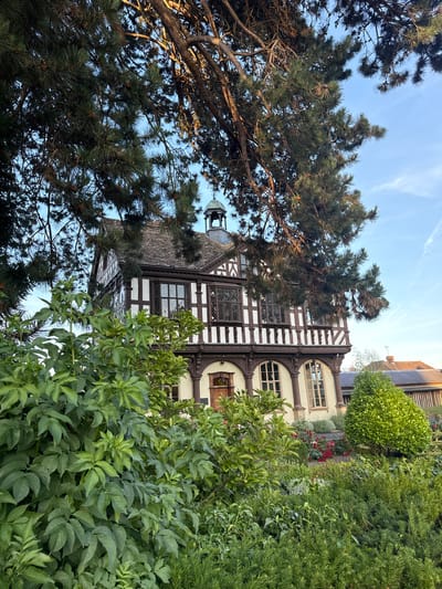 The image shows a picturesque scene in Leominster, United Kingdom. In the foreground, lush green foliage, including large-leafed plants and dense bushes, partially obscures the view of a historic building. The building itself is a striking Tudor-style structure with a dark timber-framed facade against a pale stone wall. It features numerous multi-paned windows, decorative wooden beams, and a steeply pitched tiled roof with a small cupola at its peak. In front of the building, there is a garden with red roses and meticulously trimmed green bushes. Behind the main building, other structures with tiled roofs and a chimney are visible, suggesting a residential or institutional area within the town. A large pine tree with its branches arching over the scene adds a natural element to the architectural setting. The sky above is a clear blue with faint wispy clouds, indicating fair weather. The lighting suggests it is either early morning or late afternoon. The scene appears tranquil and well-maintained, capturing the charm of a historic English town.