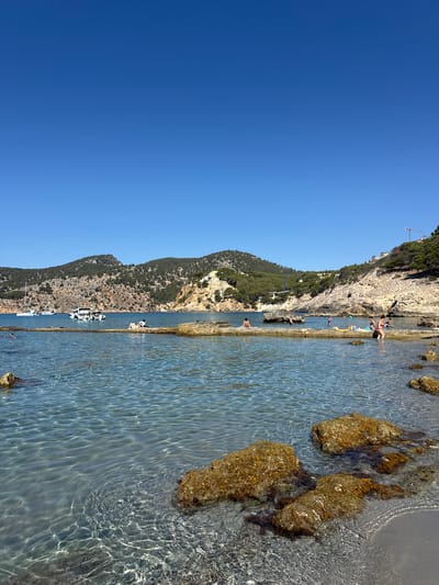 This is a landscape photo of a rocky coastline with clear turquoise water. The photo is oriented vertically, with the sky at the left and the sea at the right.
The scene depicts a natural swimming area formed by rocks. Several people are visible in and around the water, some sunbathing on the rocks, others swimming or wading. Boats are anchored in the deeper water further from the shore. The background features a steep, tree-covered hillside rising from the coast. A construction crane is visible on the hillside in the distance.
The lighting suggests it is a sunny day, likely in the afternoon, given the clear blue sky and the bright sunlight reflecting off the water. The water is calm and shallow near the rocks, allowing the seabed to be seen in places. The rocks are rough and textured, with some covered in algae.
The location appears to be a popular spot for recreation and swimming. The presence of boats indicates it is a coastal area. The vegetation on the hillside suggests a Mediterranean climate. The overall mood is peaceful and relaxed, with people enjoying a day at the beach. No visible text is present in the image.