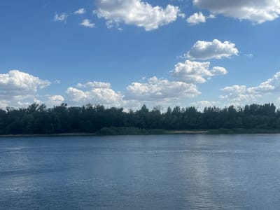 This media file depicts a serene natural landscape. The scene is dominated by a wide expanse of calm, blue water in the foreground, reflecting the light of a bright sky. Beyond the water, a dense, dark green line of trees forms a forest that stretches across the horizon. The trees are varied in height and texture, suggesting a natural, untamed woodland. Above the treeline, a bright blue sky is dotted with fluffy white cumulus clouds, indicative of fair weather. The overall impression is one of tranquility and natural beauty.

The image appears to have been taken on a clear day, likely during daylight hours given the brightness of the sky and the light reflecting off the water. There are no discernible objects or people in the foreground or midground. The vastness of the water and the dense forest suggest a relatively undeveloped or natural area. The mood conveyed is peaceful and perhaps a little awe-inspiring, highlighting the grandeur of nature. No text is visible in the image. The location context provided, "Калинин, Russia," suggests this scene is likely from an area with significant bodies of water and forested regions, possibly a river or lake.