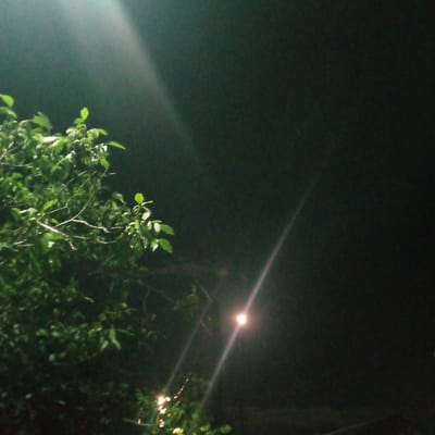 The image captures a night scene with a tree on the left and a streetlamp in the distance. The tree's leaves are illuminated by the streetlamp, creating a soft glow. The background is dark, suggesting a nighttime setting. The overall atmosphere is calm and serene. The location is identified as Ashtarak, Armenia.