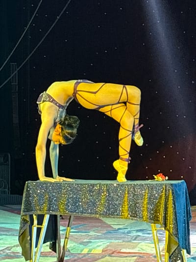 An acrobat performs on stage. The performer, a woman, is suspended from a rectangular apparatus covered in glitter. She wears a light-colored costume with purple accents and matching wrappings on her legs and feet. Her body is contorted in a bent position, using her arms to support herself. The background is dark with small white dots. The apparatus is next to a colorful painted wall. The location is Tejalpa, Mexico.