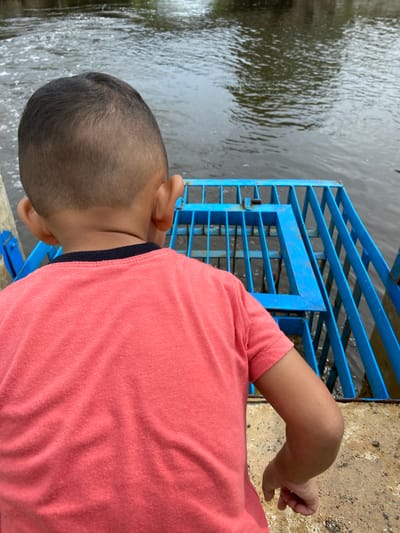 A child, seen from behind, is standing on a concrete platform next to a body of water. The child wears a coral-colored t-shirt with a black collar. In front of the child is a bright blue metal grate with a grid pattern, partially submerged in the water. The water appears murky and has ripples. The environment suggests an outdoor setting, possibly a park or waterfront area.
