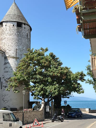 The image depicts a scene in La Tour-de-Peilz, Switzerland, on a clear, sunny day. A cylindrical stone tower with a conical, grey-tiled roof is a prominent subject, partially obscured by a large, leafy tree. The tower's rough, white-washed stone walls show signs of age with visible brickwork and some openings.
To the right of the tower, a street runs alongside a stone wall bordering a body of water, likely Lake Geneva, given the location context. The water appears calm and stretches towards a hazy mountainous horizon. Parked on the street are a dark blue car and a dark scooter. A woman in a red and white outfit is visible near the scooter. A parking sign with a blue "P" symbol is also present.
Further along the street, a triangular traffic sign with a depiction of a person working is visible, accompanied by several orange traffic cones. A white van is parked on the right side of the image. Above the street and to the left, an awning with yellow and white stripes extends from a building with wooden elements, suggesting a balcony or terrace. The sky is a vibrant, cloudless blue, indicative of a bright day. The overall impression is one of a picturesque historical town by the lake on a pleasant summer day.