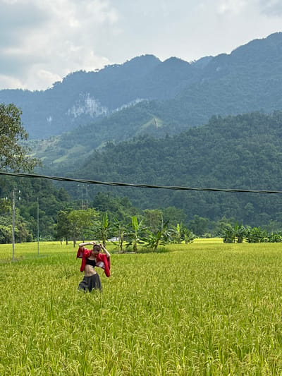 The image displays a vibrant rural landscape, correctly oriented, featuring a young woman amidst a golden-green rice field. The field, filled with mature rice plants, dominates the lower and middle sections of the frame. A young woman, seen from behind and slightly to the left, stands within the rice field, her arms raised as if adjusting her hair. She is dressed in a red long-sleeved top worn over a dark crop top or bra, exposing her midriff, paired with a dark skirt.
Beyond the expansive rice field, a line of tropical vegetation, possibly banana trees, forms a green boundary. Further back, towering, densely forested mountains rise majestically, their slopes showcasing various shades of green and fading into a soft bluish haze in the distance. The sky above is partly cloudy, with scattered white clouds against a light blue backdrop, suggesting either late morning or early afternoon. A thick black power cable runs vertically through the middle of the image, adding a touch of infrastructure to the natural scenery.
The overall impression is one of tranquility and natural beauty. The golden hues of the rice field provide a strong contrast to the deep greens of the mountains and vegetation. The setting strongly suggests an agricultural region surrounded by mountains, consistent with the provided location context of Ngọc Đường Commune, Vietnam. There is no visible text in the image.