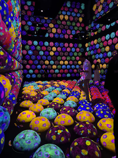 This is a medium shot of an immersive art installation in Koto, Japan, likely at teamLab Planets. The scene is dark, with black walls and ceiling. The floor is covered in rows of large, dome-shaped objects, illuminated with vibrant, bioluminescent patterns of yellow, green, blue, and purple. These domes are arranged in a grid-like fashion, creating a surreal and colorful landscape.

In the background, the walls are adorned with a similar pattern of circular motifs, each filled with colorful dots, creating a psychedelic effect. Two people are visible in the mid-ground, walking through the installation. One person, wearing a white shirt, is in motion, with their back partially to the camera. Another person, wearing a light-colored dress, is also walking. The overall impression is one of a futuristic, otherworldly environment, where light and color are the primary elements.