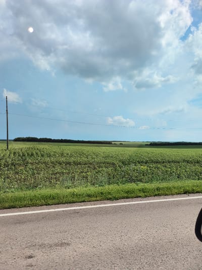 The image depicts a rural landscape in Pokrovka, Russia, on a partly cloudy day. In the foreground, a paved road with a white line runs horizontally across the frame. To the left of the road, a field of green crops, possibly sunflowers or a similar plant, stretches towards the horizon. A solitary utility pole with visible wires stands prominently on the left side of the image, marking the edge of the field. The middle ground features a dense line of trees forming a dark green horizon. The sky above is a mix of light blue and gray clouds, with a bright, sun-like glare visible in the upper left quadrant. The overall scene conveys a sense of open space and agricultural land.