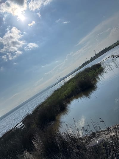 The image depicts a body of water, likely a lake or river, with vegetation growing along the shoreline. The sky is visible, with scattered clouds and the sun shining through. The picture appears to be taken at an angle. I cannot verify the specific location within Topoli, Bulgaria.
