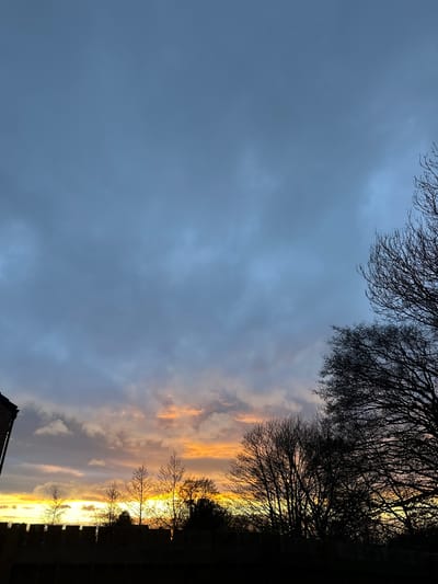 The image captures a view towards the sky at dusk, likely in or near Easingwold, United Kingdom. The lower portion of the frame is dominated by silhouettes of tree branches and potentially rooftops against a sky transitioning from a muted blue-grey to streaks of orange and yellow light. The upper corners of the frame feature the stark, bare branches of trees against the fading light. The clouds are scattered and appear to be reflecting the colors of the setting sun.
