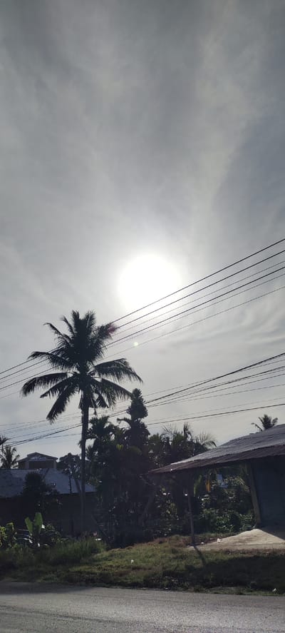 A bright, hazy sun is visible in the upper center of the frame, partially obscured by thin, wispy clouds. Several power lines stretch horizontally across the upper portion of the image. In the mid-ground, a silhouetted palm tree stands prominently to the left of the frame, its fronds fanning out against the bright sky. Behind and to the right of the palm tree, a dense collection of dark green trees and vegetation is visible. A partially visible structure with a corrugated metal roof is situated on the right side of the frame, casting a shadow on a concrete area. In the lower left quadrant, a section of a road or paved surface is visible, with a grassy embankment bordering it. The overall scene appears to be an outdoor view in Cotara, Indonesia, characterized by tropical foliage and a somewhat overcast sky. No people are visible in the image.