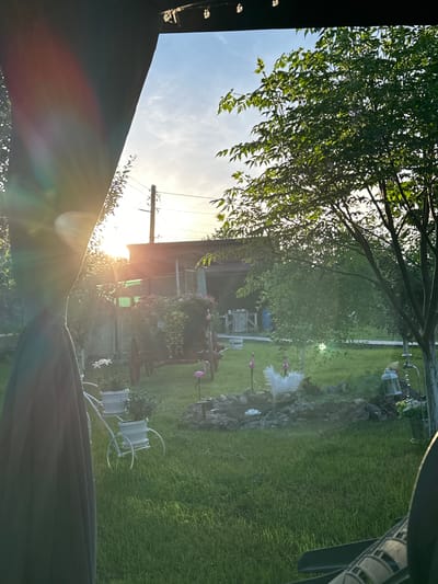 The image depicts a backyard scene in Goran, Bulgaria. A glimpse of a wooden house is visible through the trees, bathed in sunlight. The yard features a rock garden, pink flamingos, and decorative white sculptures. A white metal plant stand sits on the grass. The view is partially obscured by a dark canopy. A power line can be seen near the house.