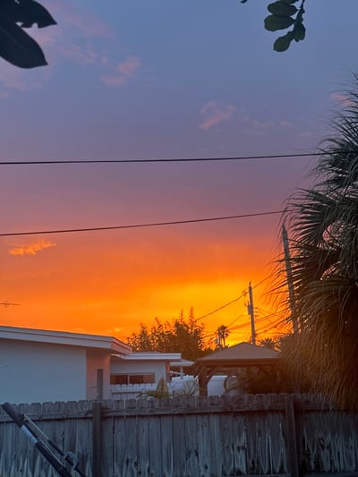 An outdoor, low-angle, vertical shot depicts a vibrant sunset over a residential area in Indian Harbour Beach, United States of America. The sky transitions from a deep purple at the top to a fiery orange near the horizon. Silhouetted against the sky are two telephone poles with wires strung between them, and lush green trees. In the foreground, a weathered wooden fence runs horizontally across the frame. To the left, a portion of a white house is visible, while to the right, a palm tree with long fronds dominates the scene. A small, dark-colored gazebo is nestled behind the fence, partially obscured by foliage. The overall impression is one of a serene, tropical evening.