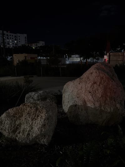 Two large, porous rocks dominate the foreground, with dark foliage to their right. Beyond a narrow sidewalk, city buildings rise against the night sky. The buildings, illuminated by scattered lights, transition to darker trees further away. A tall fence and some lights provide definition for a space between trees on one side. The overall scene is dimly lit.