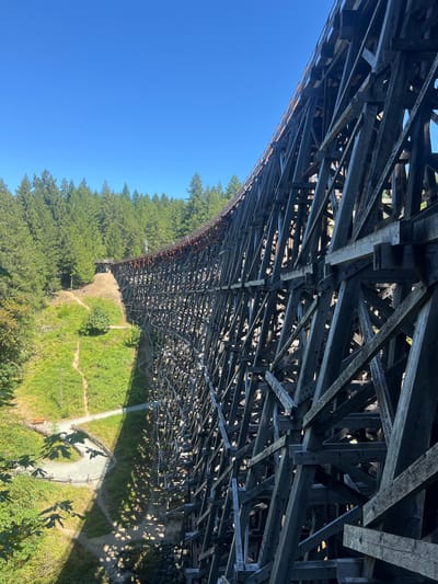 The image shows a large wooden railway trestle bridge with a clear blue sky above and a dense green forest on either side. The trestle is made of numerous heavy timber beams and supports, creating a complex lattice structure. The perspective is from a high vantage point, looking down and along the length of the bridge, which curves slightly into the distance. To the left of the trestle, a grassy hillside is visible with a dirt path winding its way up. There are some trees and bushes on the hillside, and a wooden bench is placed near the path. The trestle casts a distinct shadow on the hillside. The scene appears to be located in a natural, forested area. The location is identified as Area B (Shawnigan Lake), Canada. There are no people visible in the image.