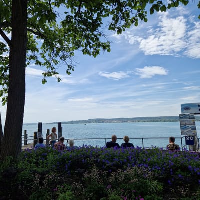 This is an eye-level, outdoor, medium shot image taken on a sunny day in Überlingen, Germany. In the foreground, a dense bed of purple and pink flowers with green foliage creates a vibrant border. Behind the flowers, a dark metal railing separates the viewer from a wooden pier.
On the pier, several people are gathered. To the left, a woman with blonde hair is standing, looking towards the right. Next to her, a person in a blue shirt is seated, facing away from the camera. Further to the right, two individuals are seated, facing the water: one is a man with a red and white plaid shirt, and the other is a woman with white hair. To the far right, another person is seated, facing away from the camera.
Beyond the pier, a wide expanse of blue water stretches to the horizon, with a distant shoreline dotted with buildings and trees. The sky above is a clear blue, interspersed with wispy white clouds. A large tree with dark bark and green leaves frames the left side of the image, its branches extending over the scene.
On the right side of the pier, there are informational signs for boat tours. One sign has the "CMS" logo and text related to "Panorama Rundfahrt" and "Große Rundfahrt" with prices. Another sign displays "2C". The overall atmosphere is peaceful, suggesting a relaxed outdoor setting by a lake.