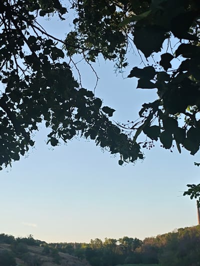 The image depicts a natural scene with a clear, pale blue sky serving as the backdrop. In the foreground, dark silhouettes of tree branches and leaves are prominently featured, framing the upper portion of the frame. Some of the branches have small, delicate seed pods or berries hanging from them.
Below the sky and trees, a gently rolling landscape unfolds. The terrain appears hilly and is covered with a mix of vegetation, including trees and shrubs. The colors are muted, suggesting either early morning or late evening. The lighting indicates a soft, diffused light, characteristic of dawn or dusk.
On the far right side of the image, a tall, reddish-brown structure, possibly a smokestack or a tower, rises above the treeline. Its presence suggests an industrial or formerly industrial area within or near the natural landscape. The overall mood is tranquil and serene, with the silhouette of the trees creating a sense of depth and enclosure. The location context provided is Chystiakove, Ukraine, which might explain the architectural element seen in the distance. No people or text are visible in the image.